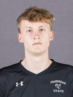 hs gustav hemminosen